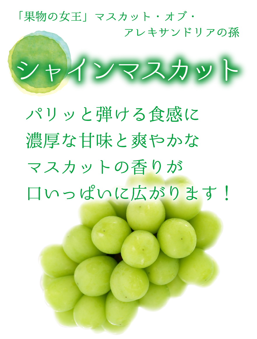4M-2 [贈答用2kg] 食べ比べ4種ミックス 【9月中旬～発送開始